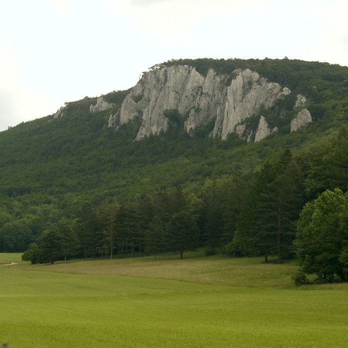 Peilstein_wikipedia_q Peilstein_wikipedia_q
