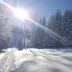20170119_121103_quad_Schnee-Wanderung 20170119_121103_quad_Schnee-Wanderung
